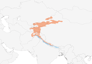 Distribution of the Blue-capped Redstart - Range Map