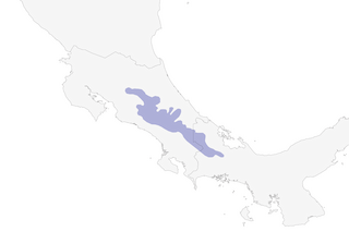 Distribution of the Long-tailed Silky-flycatcher - Range Map