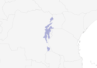Distribution of the Blue-headed Sunbird - Range Map