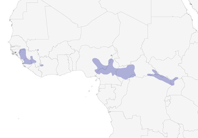 Afrika