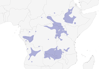 Distribution of the Fawn-breasted Waxbill - Range Map