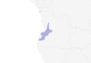 Distribution of the Swee Waxbill (Angola) - Range Map