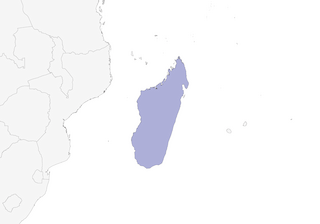 Distribution of the Madagascar Munia - Range Map