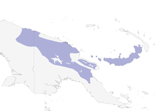 Distribution of the Hooded Munia - Range Map