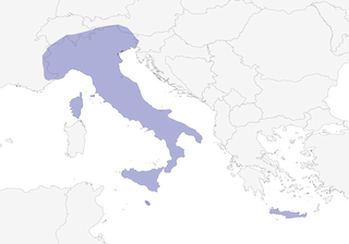Distribution of the Italian Sparrow - Range Map