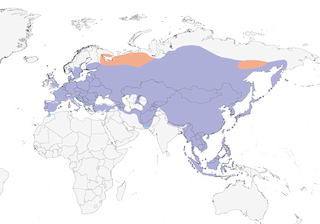 Distribution of the Eurasian Tree Sparrow - Range Map