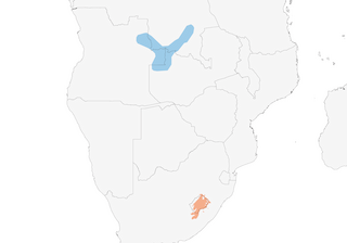 Distribution of the Mountain Pipit - Range Map