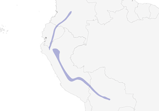 Distribution of the Bronze-green Euphonia - Range Map