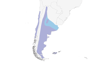 Distribution of the Long-tailed Meadowlark - Range Map