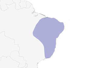 Distribution of the Campo Troupial - Range Map