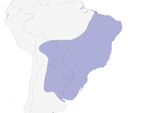 Distribution of the Variable Oriole - Range Map