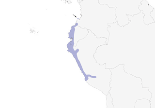 Distribution of the Scrub Blackbird - Range Map