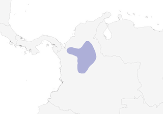 Distribution of the Sooty Ant-Tanager - Range Map