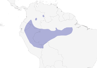 Distribution of the Masked Crimson Tanager - Range Map