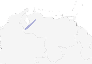 Distribution of the Gray-capped Hemispingus - Range Map