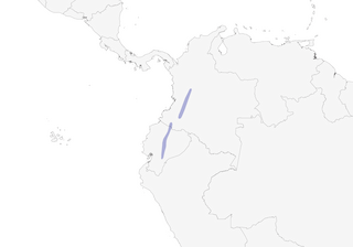Distribution of the Black-backed Bush Tanager - Range Map