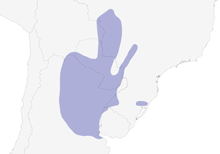 Distribution of the Yellow-billed Cardinal - Range Map