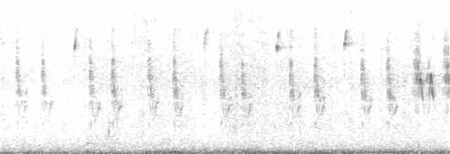 Black-browed Reed Warbler - ML169923141