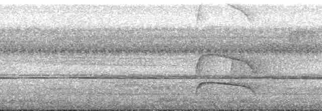 Eurylaime de Horsfield ou E. à capuchon - ML169934
