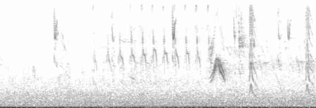 Striped Sparrow - ML169947