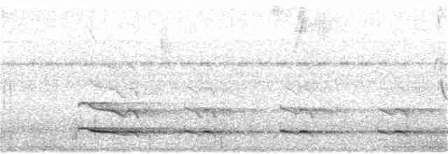 tukan žlutohrdlý - ML169963831