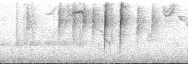 Piranga érythrocéphale - ML169967