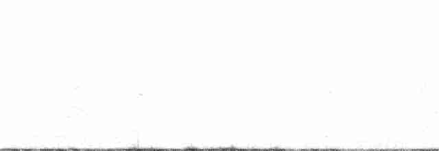 Bataklık Bubusu (sticturus) - ML169973681