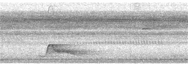 Pauraquenachtschwalbe - ML169976881
