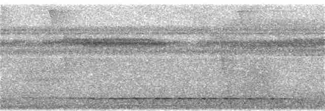 Lattice-tailed Trogon - ML169977281