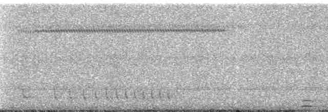 Сплюшка мадагаскарська (підвид rutilus) - ML170007