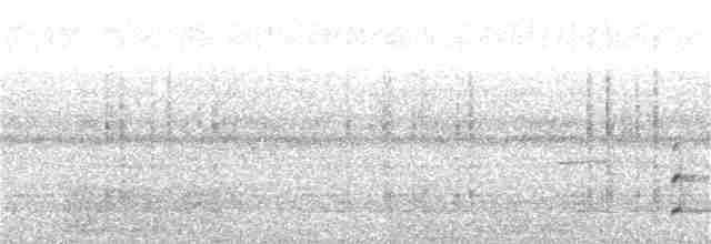 Орлан білоголовий - ML170063701
