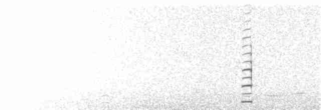 tenkozobec hnědohlavý - ML170100951