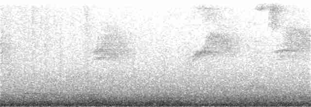 Ornate Sunbird - ML170113891