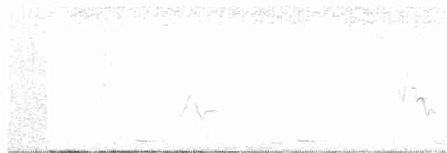 Black-billed Cuckoo - ML170121081