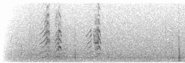Пестрогрудый чибис - ML170165051