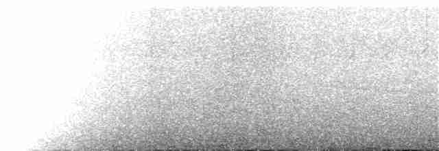 אוריה שחורה - ML170166401