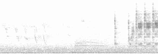 Болотный крапивник - ML170170881