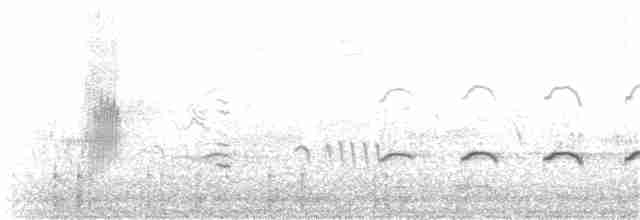 Chaparralgrasmücke - ML170177081