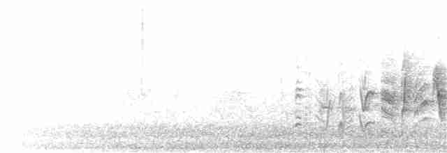 Braunaugenvireo (pusillus) - ML170179161