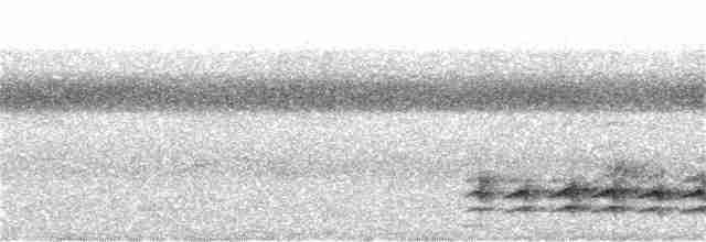 Weißbrustkleiber - ML170192481
