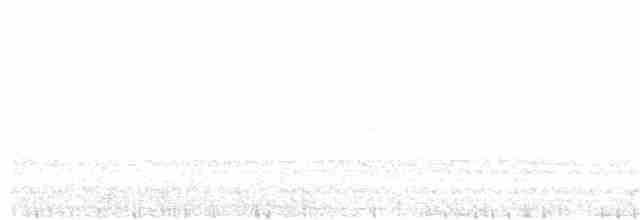 Sickle-winged Nightjar - ML170278991