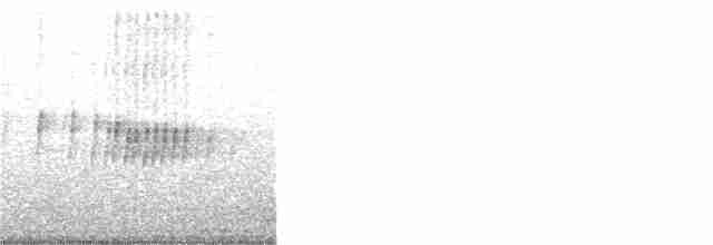 Тиран сірий - ML170281631