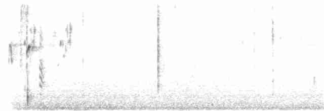 halsbåndfrankolin - ML170284351