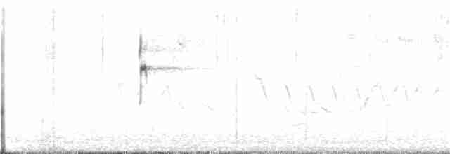 Улит-отшельник - ML170312481