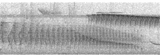 Пестрогорлый алапи (pyrrhonota) - ML170364491