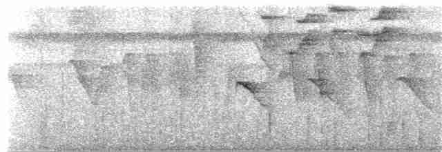 Tüpfelkronen-Ameisenvogel - ML170378551