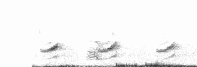 Mérulaxe sombre - ML170454891