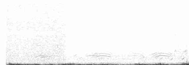 Gray-crowned Babbler - ML170465091