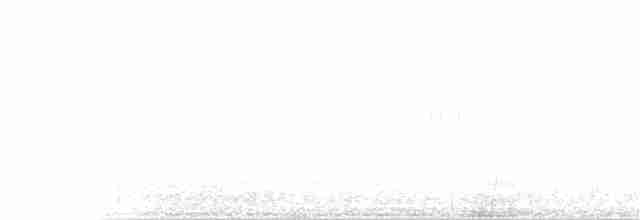 Çatal Kuyruklu Ormanyıldızı - ML170476751