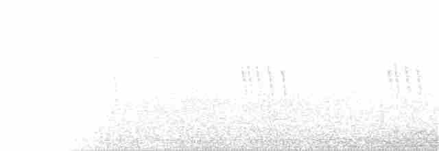 Çatal Kuyruklu Ormanyıldızı - ML170476761